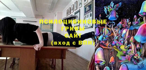 бошки Сосновка