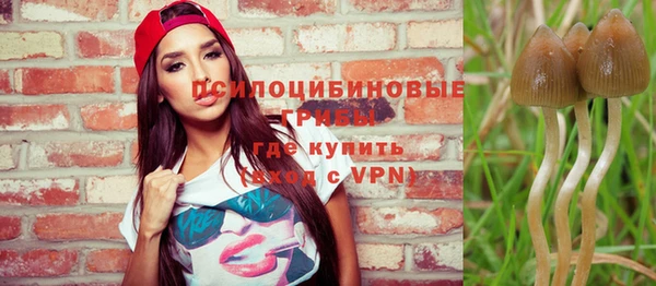 бошки Сосновка