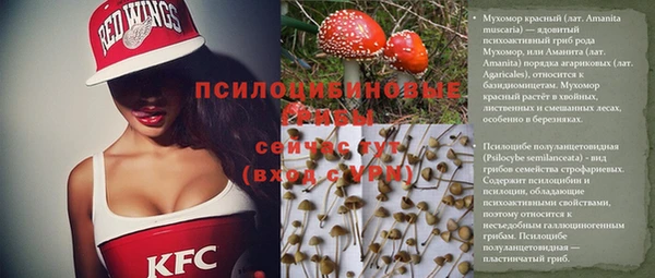 ECSTASY Сосновоборск