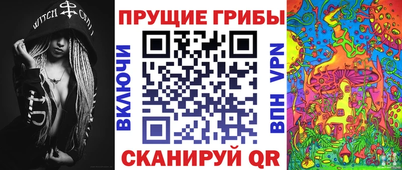 Псилоцибиновые грибы MAGIC MUSHROOMS  цены   Сурск 